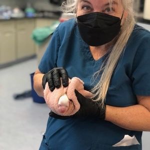 Meet your Posher, Lisa